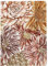 Rhodia 120030C - Rhodia ORANGE Botanique - Notizheft DIN A5 liniert, 32 Blatt, elfenbeinfarbiges 90g Papier, Soft Touch Einband, Blumenmotiven, 1 Stück