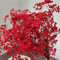 Oning 43 cm Echt Rot Schleierkraut getrocknet, Trockenblumen Gypsophila über 2000 Knospe, Natürlich Schleierkraut Trockenblumenstrauß für Vasen Deko Hochzeit Weihnachtsbaum Grußkarte DIY