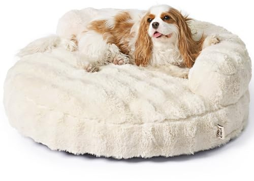 EHEYCIGA Dog Bed Medium Size Dog, Fluffy Small Dog Couch with Removable Washable Cover, Bolster Pet Sofa, Waterproof and Non-Slip, 30 x 30x 8.5, Cream