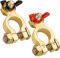 1 Pair Car Battery Terminals Clamps, 12V/ 24 V Battery Terminals Connectors Positive and Negative with Wing Nut for Cars Vans Truck