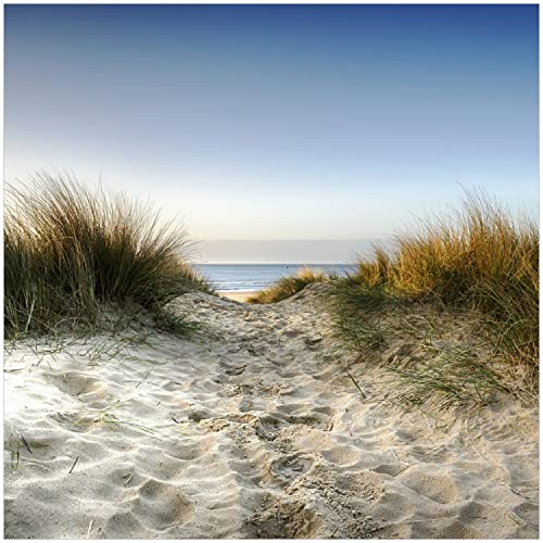 Wallario Memoboard aus Glas mit Motiv, Magnet-Tafel in 50 x 50 cm in Premium Qualität Weg durch die Dünen zum Strand am Meer