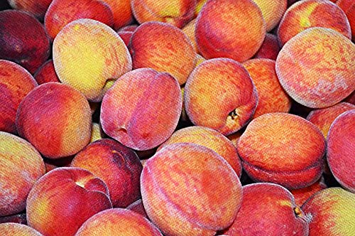 kreuzstich stickpackungen vorgedruckt bilder kinder erwachsene anfanger Apfel kreuzstich set diy 11ct Baumwolle Stoff Vorsortierte Garne SchlafzimmerInnendekoration (40×50cm)