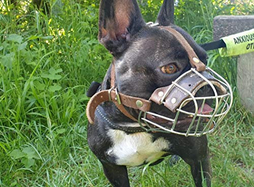 L&J Pets Uk Metallkorb Maulkorb für Französische Bulldogge | Korbmaulkorb für Frenchies Starker Metallmaulkorb