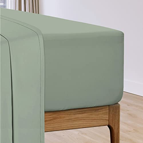 Pizuna Cotton Percale Super King Fitted Sheet Sea Foam 100% Long Staple | Combed Cottonfitted Sheet, 180x200 cm, Percale Weave, Superking, Extra Deep 40 Cm Fit 1 Pc