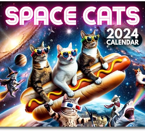 LOOKIN’ FRIDAY Space Cats Kalender
