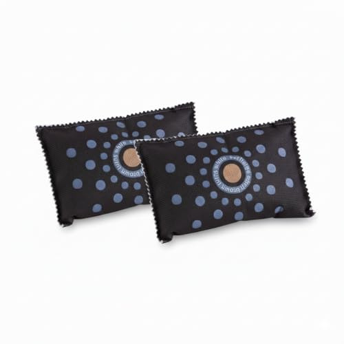 EUROtops Auto-Entfeuchter XL DRY Active 2er-Set – Wiederverwendbare Luftentfeuchter gegen Feuchtigkeit, beschlagene Scheiben & Schimmel