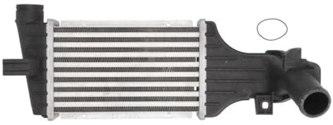 THERMOTEC DAX006TT Ladeluftkühler/LLK Turbokühler Kompatibel mit OPEL Astra G CC T98 1302114 1302243 24436438