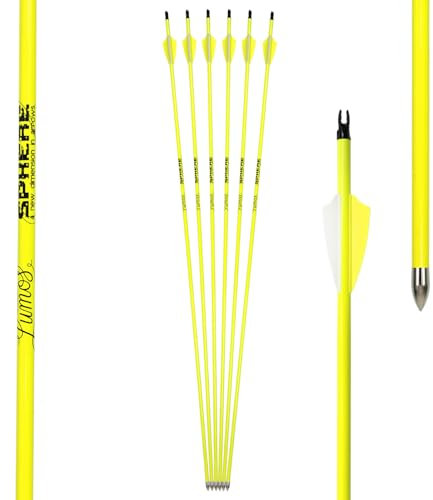 6er Pack Komplettpfeil Sphere Lumos 6.2 - Carbon - für Bögen 30-40 lbs, Leuchtpfeil, Neon Gelb und Neon Orange (Vanes, Neon Gelb, 32 Zoll)