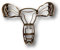 Weibliche Anatomie Cookie Cutter