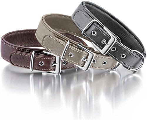 Knuffelwuff 13991-012 Weiches Lederhalsband Hund Hundehalsband Glendale 48-55cm, schwarz