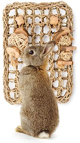 andwe Rabbit Seagrass Protector Mat with Toys (11 X 7.87-inch)