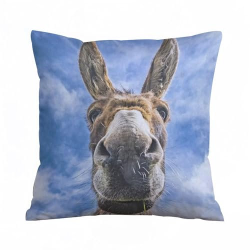 AELKSP Kissenbezug Kissenhülle Haus Dekorativ Für Jungen/Mädchen Wohnzimmer Schlafzimmer Sofa Stuhl Kissenbezüge,Esel aus nächster Nähe,40x40 cm