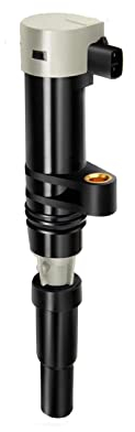 Frankberg 1x Zündspule Zündmodul Kompatibel mit Clio II Clio III Duster Logan Sandero Kubistar Primastar Vivaro Kangoo Laguna Megane Modus Twingo II Replace# 7700875000 7700107177