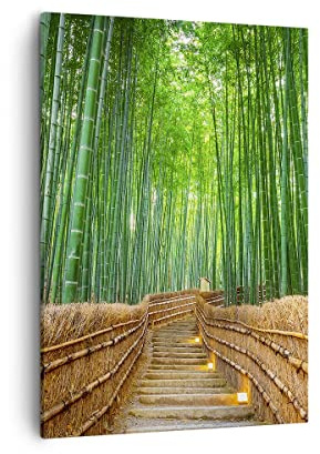 ARTTOR Tableau sur Toile Décoratif 50x70 cm Paysages Forêt - 3979 | Bambou Usine Impression sur Toile Décoration Murale Art Mural Toile Imprimée Chambre Cuisine Salon ARTTOR