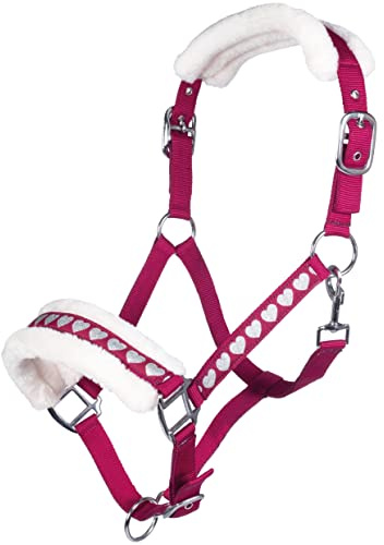 HKM Sweet Valentine Halfter 3971 Pink/Silber Warmblut