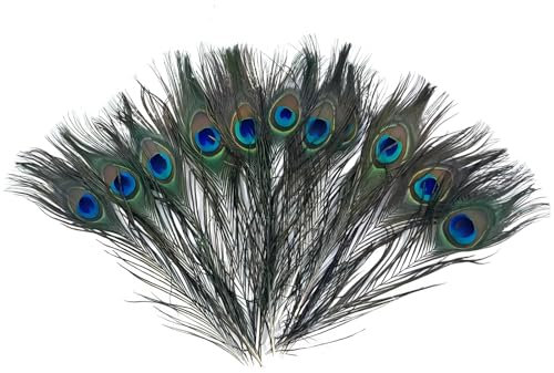 LEBKFT Natürliche Pfauenfeder 15 Stück 25-30 cm Pfauenaugenfeder Dekorativ Grüne Schwanzfedern Pfauenfedern zum Basteln für DIY Handwerk Kostüm Hochzeit Urlaub Party Dekorationen Pfau Deko