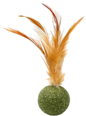 5Pack Boule d'herbes à Chat, Jouets d'herbes à Chat pour Animaux de Compagnie, Boule D'herb À Chats Comestible, Boules De Plumes D'herb À Chats, Sucette naturelle interactive, coups de pied naturels