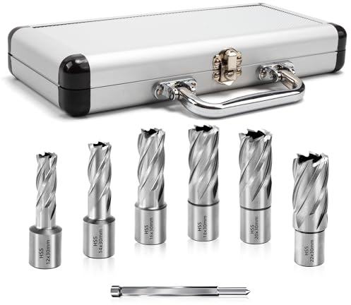 7-Stück HSS Kernbohrer-Satz mit 19 mm Weldonschaft und Auswerferstift,30 mm Schnitttiefe,Kobalthaltiger Schnellarbeitsstahl Kernbohrer für Magnetbohrmaschinen,Fräsmaschine (Größe:12,14,16,18,20,22mm)