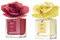 Muhà Diffusore Ambiente Rosa - confezione da 2 da 100ml- Legni e Te + Uva e Fico