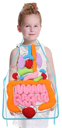 KAKIBLIN 3D-Orgelschürze, Plüsch-DIY-Organ-Schürze für Schüler, menschliche Körperorgane, Bewusstseinsviszera für Lehrer, Lehrutensilien für Zuhause, Vorschule, Lehrhilfe