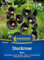 Kiepenkerl Stockrosensamen Nigra 1067560 - mehrjährige, Großblumige, tief schwarzrote Stockrosen Samen - Wildblumensamen, Blumenwiese, Saatgut, Samen Anzucht