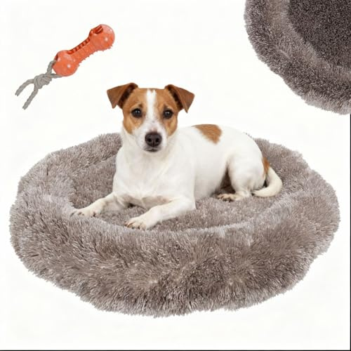 BENNO® Hundebett BALU rund 60x60x16 cm, Donut Kuschelbett mit Polypropylen-Füllung, Cappuccino, maschinenwaschbar, Rutschfester Boden, inkl. Kauknochen, Schlafplatz für Hunde