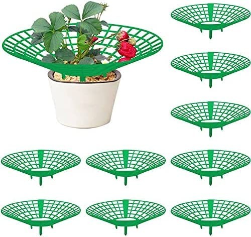 GIONAR 10 Stück Erdbeerstützen Ständer, Erdbeerregal, Balkon Erdbeernetze,Erdbeeren vor Staub und Schnecken schützen,schafft Sicherheitsabstand zum Boden