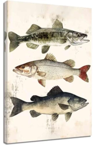 ZQQART Fisch Leinwanddrucke Vintage Poster mit Forellenfischen Süßwasserbarsch Bilder Küstendekoration für Angler Angelbegeisterte Geschenke (Weiß,40x60cm)
