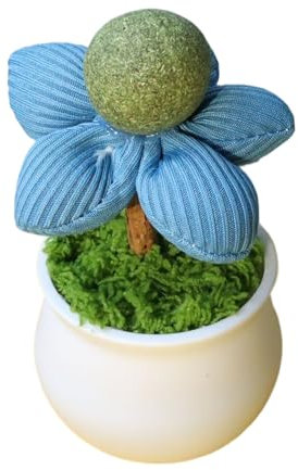 Catnip Potted Plant | Cat Grass Pot | CatNip Toys Chew | Catangir Laming Pot | Interactive Flower Pot Licking Ball | Fun Kitten Game For Indoor Cats, L