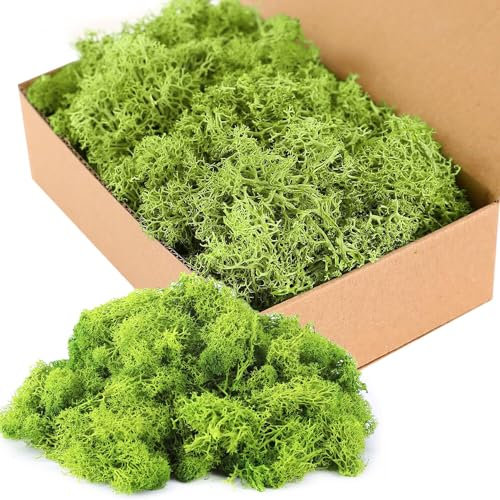 HRKVSK Musgo Artificial, Musgo Natural, Musgo Artificial para Belenes, Musgo Preservado, Musgo para Belenes, Decoracion, Terrarios, Jardinería, Decoración de Pared