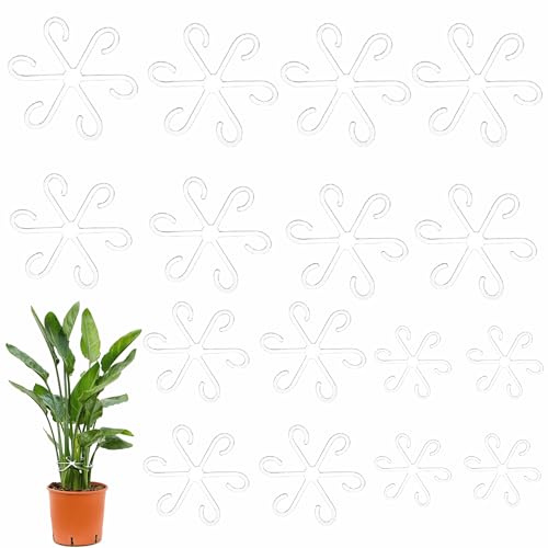 16 Pièces Transparent Support pour Tige de Plante Grimpante, 4 Tailles Tige Support Plantes en Plastique, Réutilisable Anneau de Support de Jardin pour Plantes de Monstera, Fleurs, Hortensias