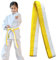 COYUN 1 Stück Judo gürtel, Taekwondo-Gürtel Belt, Judo Karate Gürtel Belt Kampfkunst Karate Judo Baumwolle Taekwondo Belts Professioneller Karate Aikido Belt Weiß Gelb Kampfsportgürtel 220cm