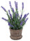 Homoyoyo 3er-Set Künstlicher Lavendel im Topf Realistische Kunststoffpflanze Mini-Deko mit Blumentopf Künstlicher Lavendel Im Topf für Zuhause Büro Garten Hochzeitsdekoration Inneneinrichtung