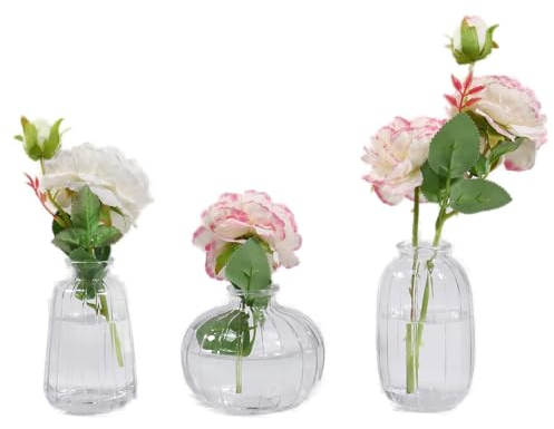 B4E Plain Glass Vase Set of 3 | Decorative Table Living Room/Bedroom/Home/Office/Kitchen Decor | Short/Medium/Tall Glass Flower Vase for Centerpieces