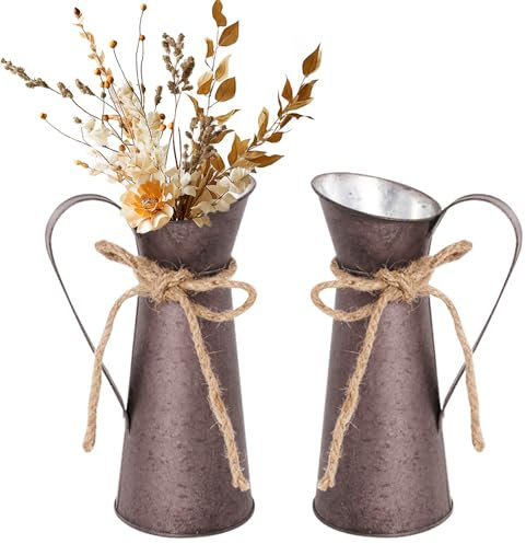 RANJIMA Juego de 2 jarrones decorativos vintage de metal, jarrones decorativos para cocina, jarrones decorativos, estilo rústico, decoración de mesa, decoración para ventanas, para plantas