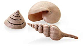 biOrb Fish Tank Decorations, Ceramic Sea Shells (Set of 3 Aquarium Ornaments, Natural Colour), Artificial Fish Tank Accessories To Add Colour, Natural-Looking Aquarium Decor For Scenic Background