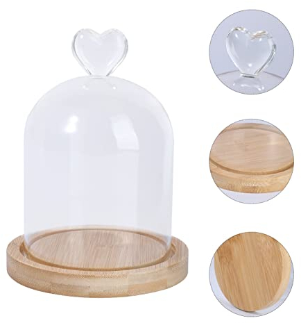 DEARMAMY Cloche À En Verre Avec Base En Bois Cloche D'affichage En Verre Transparent D'affichage De Fleurs Séchées Couvercle En Verre Pour La Décoration De La Maison Présentoirs