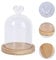 DEARMAMY Cloche À En Verre Avec Base En Bois Cloche D'affichage En Verre Transparent D'affichage De Fleurs Séchées Couvercle En Verre Pour La Décoration De La Maison Présentoirs