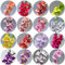20 piezas bulbos de gladiolo resistentes, gladiolo, flores cortadas plantas decorativas plantas de jardín de rocas resistentes tubérculos de gladiolos decoración floral plantas de