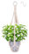 Apstaqeoo Macrame Hanging Planters Baskets, Flower Pot Cotton Rope Plant Hanger Wall Hanging Plant Holder with 1 S Hook for Indoor Outdoor Ceiling Garden Balcony Boho Home Decor No Tassels(50CM, 1Pc)