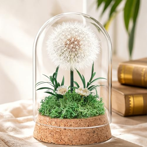 YIChongDan Wunscherfüller Pusteblume im Glas, Echte Pusteblume im Glas Pusteblume Deko für Frauen Freundin Mädchen Geschenke für Geburtstag Hochzeit Jugendweihe Weihnachten