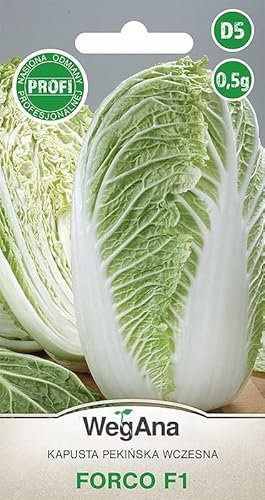 WegAna Chou chinois Forco F1 graines 0,5g semences, graines de légumes robustes, graines de légumes, graines de culture
