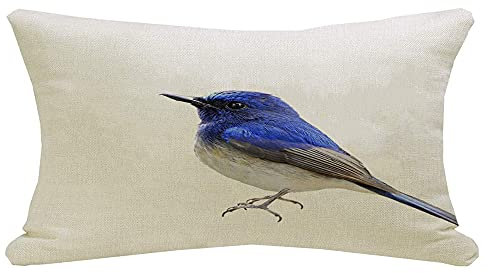 Kissenhülle Hainan Blue Evergreen Flycatcher Vogel Isoliert Hainana Auf Exotischen Weißen Tieren Wildlife Nature Dekokissen Kissenbezüge Premium,Stilvolles Kopfkissenbezug Für Sofa Bed 40X60Cm