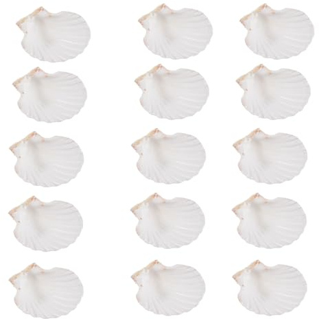 Tacdas 15 PCS Coquillage Naturel Grand Blanc, Saint-Jacques de 4 à 4,7 Pouces pour Le Bricolage, Le Service de la Nourriture, la Pâtisserie et Plus, Facile à Utiliser