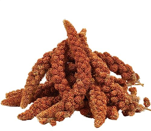 Lyra Pet® | 15 kg Kolbenhirse rot | Vogelfutter für Sittiche & Kanarienvögel | Handverlesene Hirse | Natürliche Nährstoffquelle für Vögel | Für das ganze Jahr | Hirsekolben für für Zier- und Wildvögel