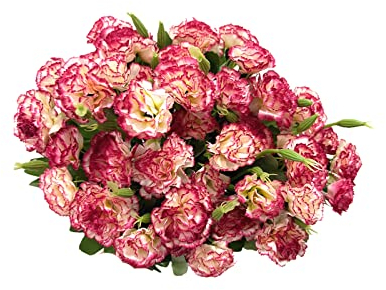 Rikyo Blumenstrauß aus künstlichen Seidennelken, 30,5 cm, Blumenstrauß und grüne Blätter, für Zuhause, Party, Braut, Hochzeit, Festival, Dekoration, mit 10 Stück pro Strauß (roter Rand, weiß)
