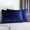 HOMEYA - 2 Kissenbezüge aus Samt 50 x 70 cm - Kissenbezüge aus 100 % Polyester, extra weich, glänzende Oberfläche mit Reißverschluss, 2 Stück (Marineblau)