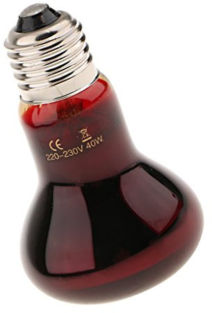 SGerste Intérieur Serpent Tortue Lézard Reptile Terrarium Chauffage Lampe E27 Base Veilleuse – Rouge, 40 W