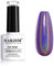 RARJSM Holographic Nail Polish Dark Purple Nail Polish 1 Pack 0.25 Fl.oz Quick Dry Gel Polish Nail Lamp Cured for Salon Home DIY Nail Art Design RAR76