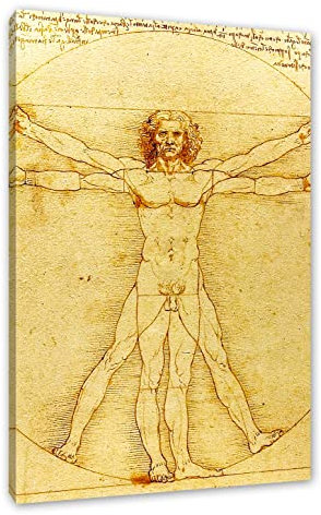 Pixxprint Leonardo da Vinci - Vitruvianischer Mensch, Größe: 80x60cm, Leinwandbild, fertig gespannt, Wandbild, Dekoration, Kunstdruck, kein Poster